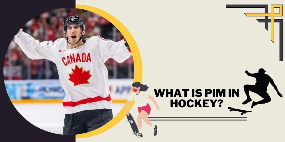 What is PIM in Hockey