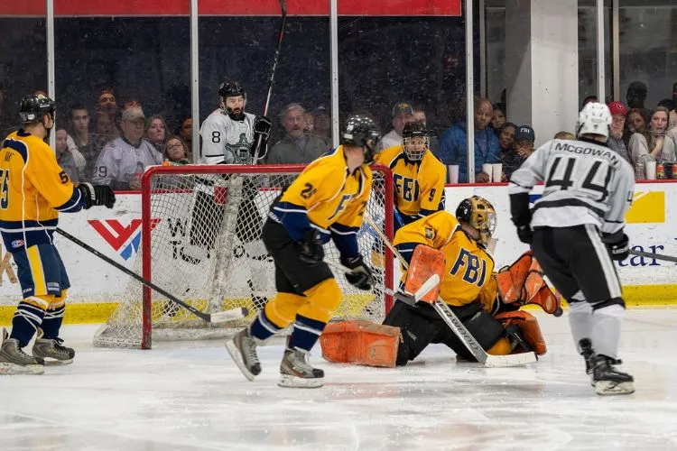 The Structure of Ice Hockey Games